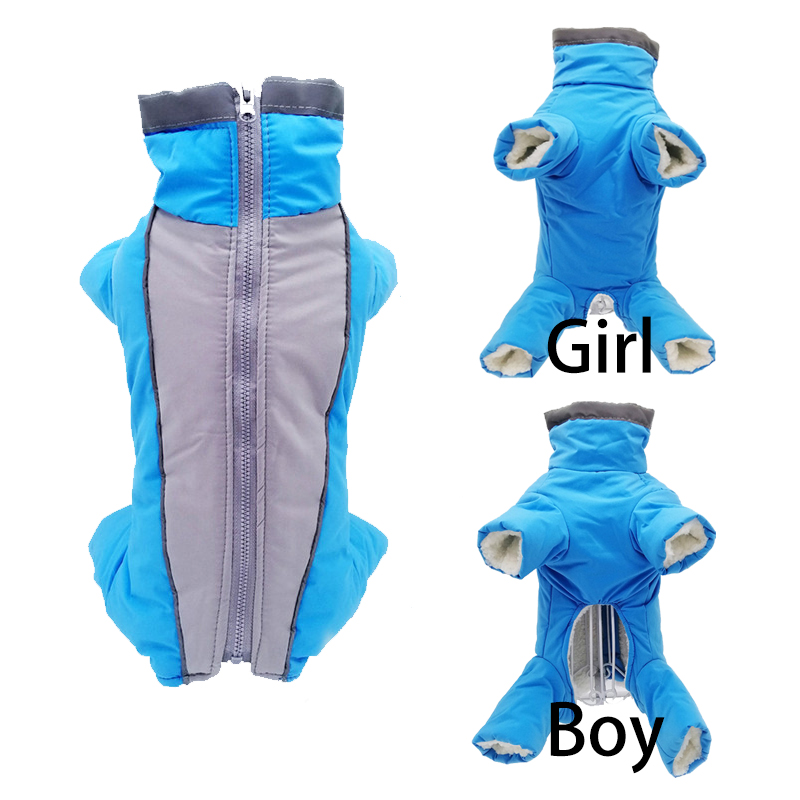 الشتاء كلب الملابس سترة دافئة  - مراجعة Winter Clothing In French وسعره